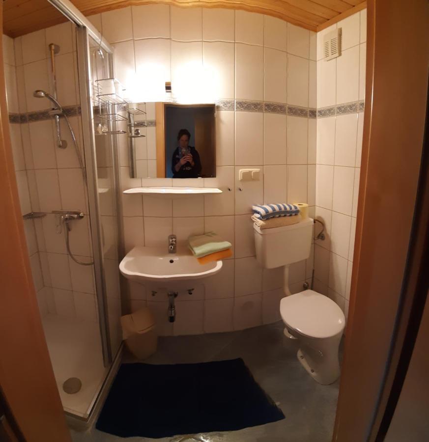 Ferienwohnung Schoenauer Haus im Ennstal Εξωτερικό φωτογραφία